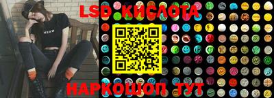 стафф Донской